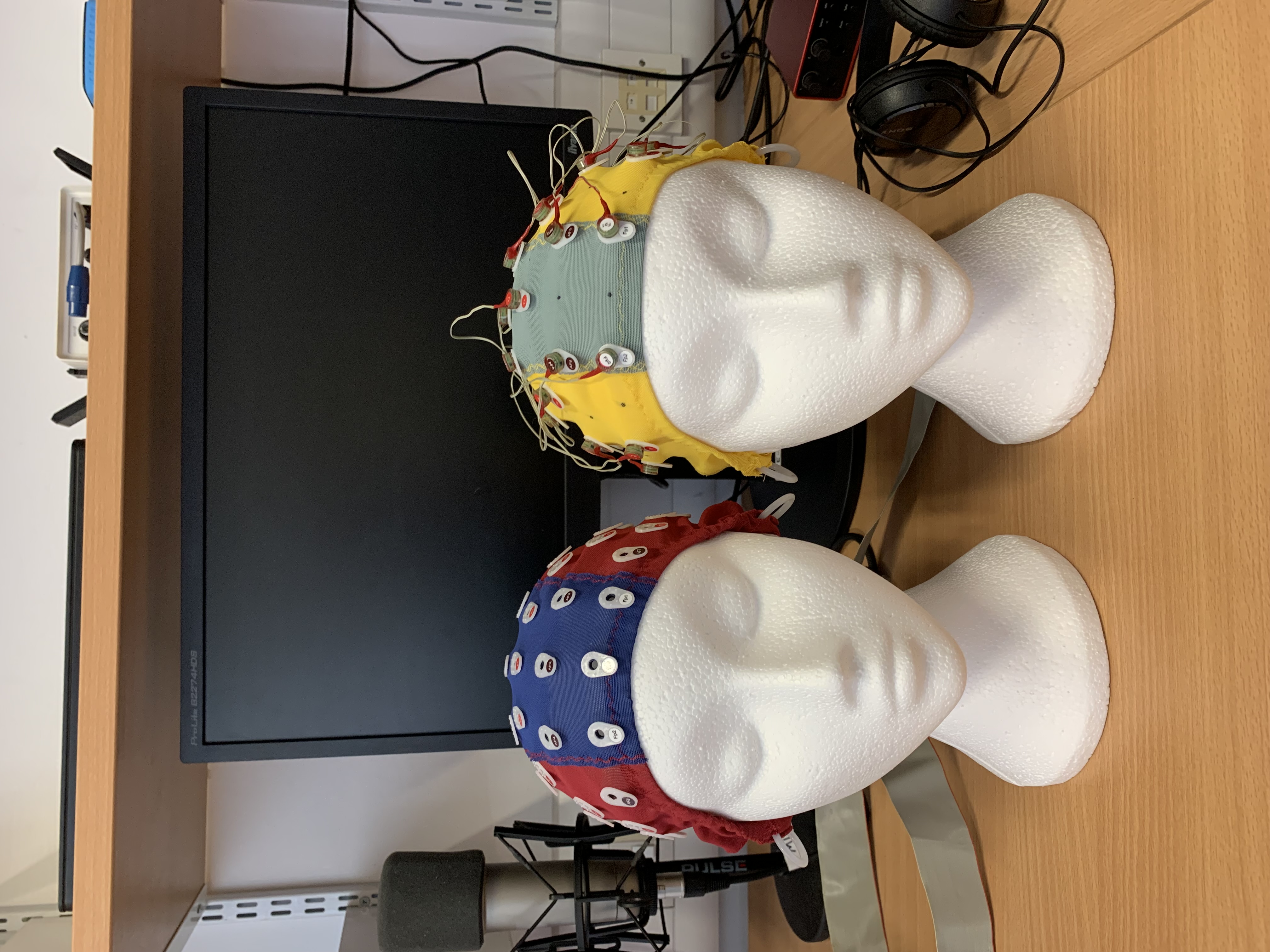 EEG caps